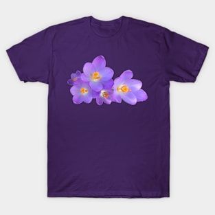 Spring T-Shirt